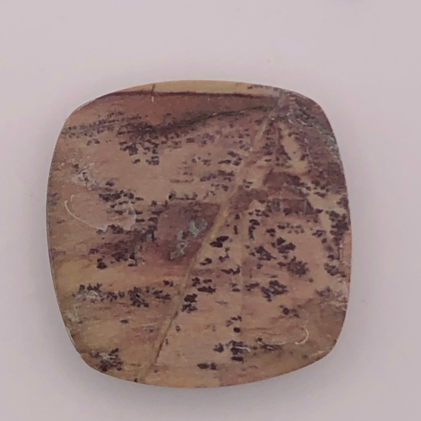 Scenic Rhyolite Cabochon