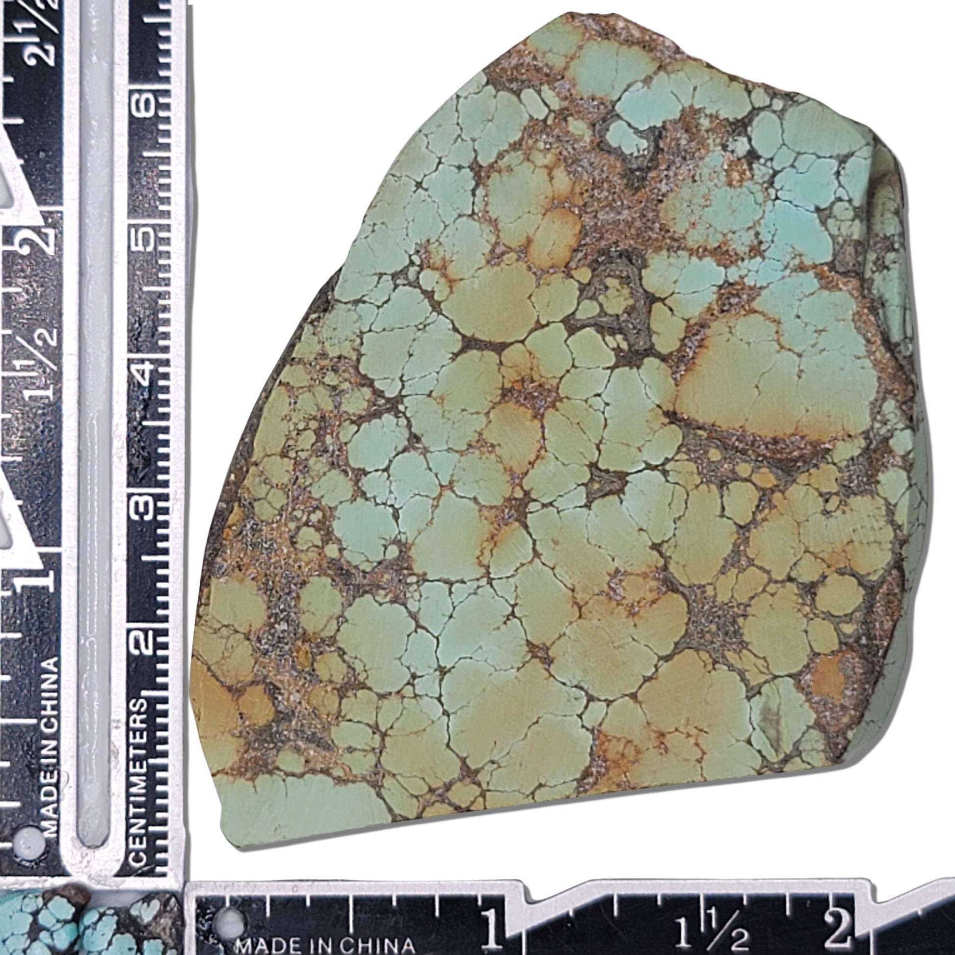 A 56-gram turquoise rough stone featuring a light green surface with bold brown webbed patterns. Approximate dimensions: 6.5 cm x 4.8 cm x 0.9 cm. Perfect for crafting cabochons, inlays, or displaying. Purchase at www.naturalturquoise.com.