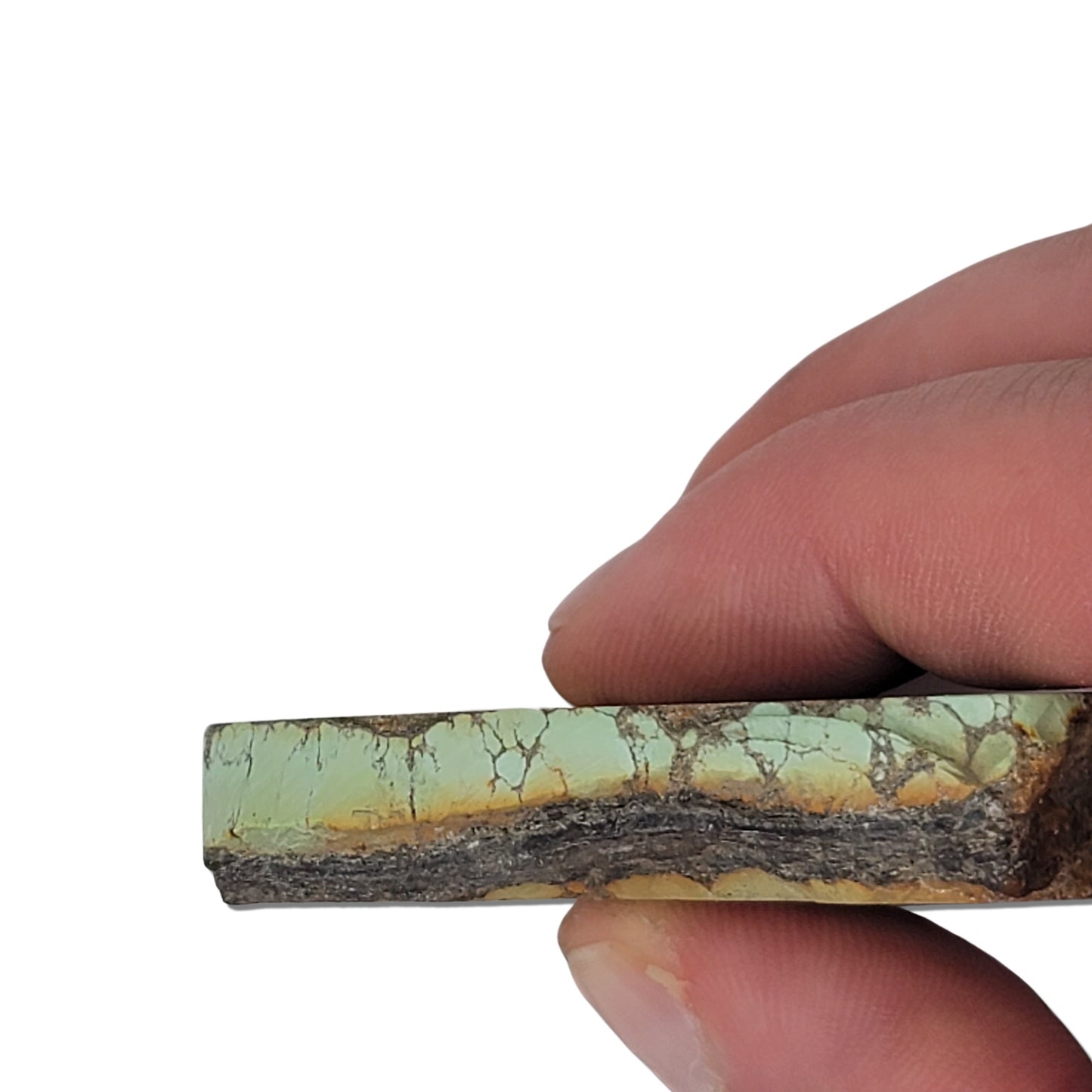 A 56-gram turquoise rough stone featuring a light green surface with bold brown webbed patterns. Approximate dimensions: 6.5 cm x 4.8 cm x 0.9 cm. Perfect for crafting cabochons, inlays, or displaying. Purchase at www.naturalturquoise.com.