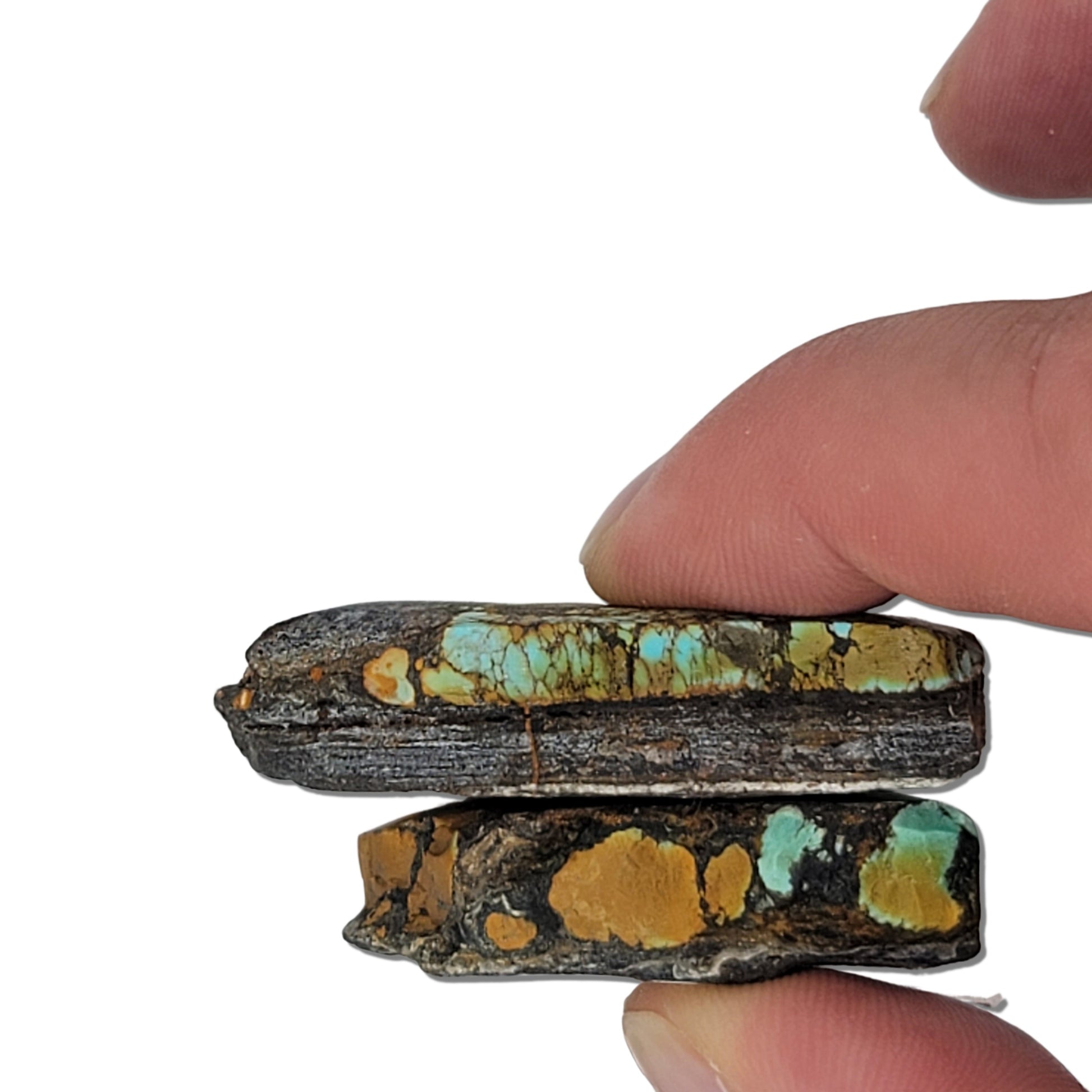 Pair of rough turquoise stones with vibrant blue, brown, and black matrix patterns, shown with measuring scale for size reference – high-quality natural turquoise stones for jewelry making at NaturalTurquoise.com.