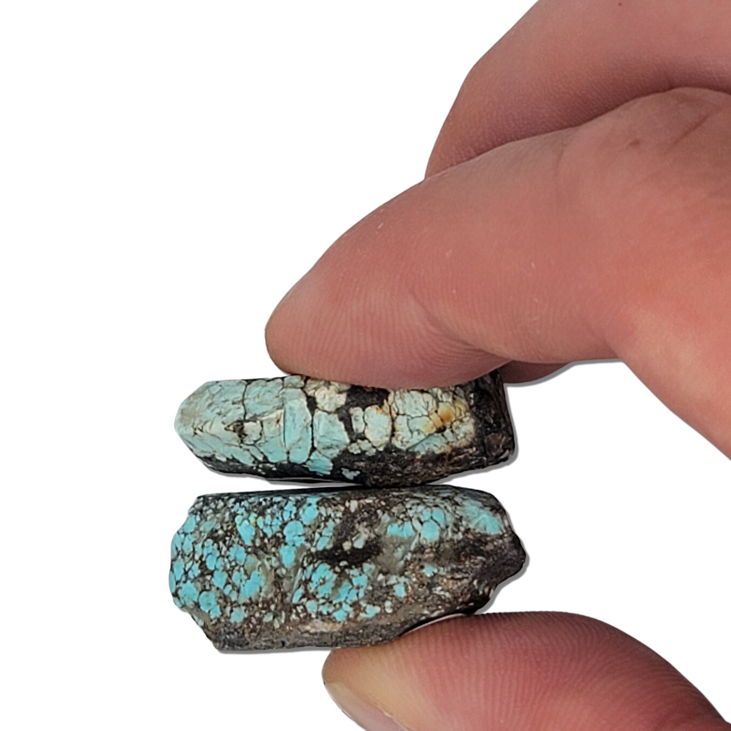 Two rough turquoise stones with intricate blue webbing and earthy brown matrix, approx. 3 cm x 2.5 cm and 3 cm x 2 cm, www.naturalturquoise.com.