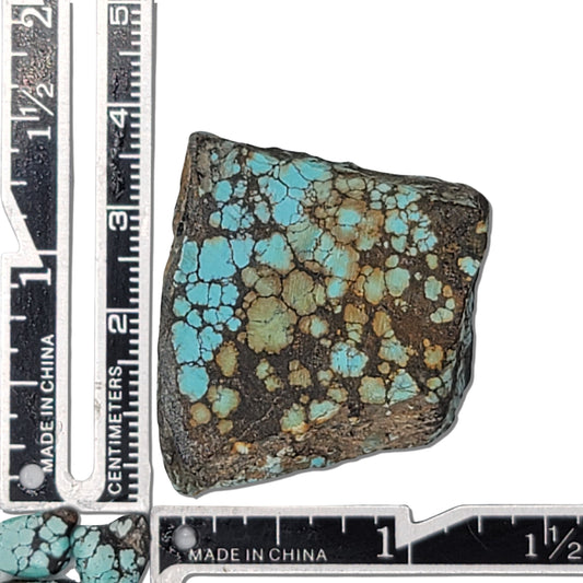 Natural rough turquoise stone with a vibrant blue and earthy brown matrix pattern, shown with measuring scale – high-quality turquoise for jewelry making available at NaturalTurquoise.com.