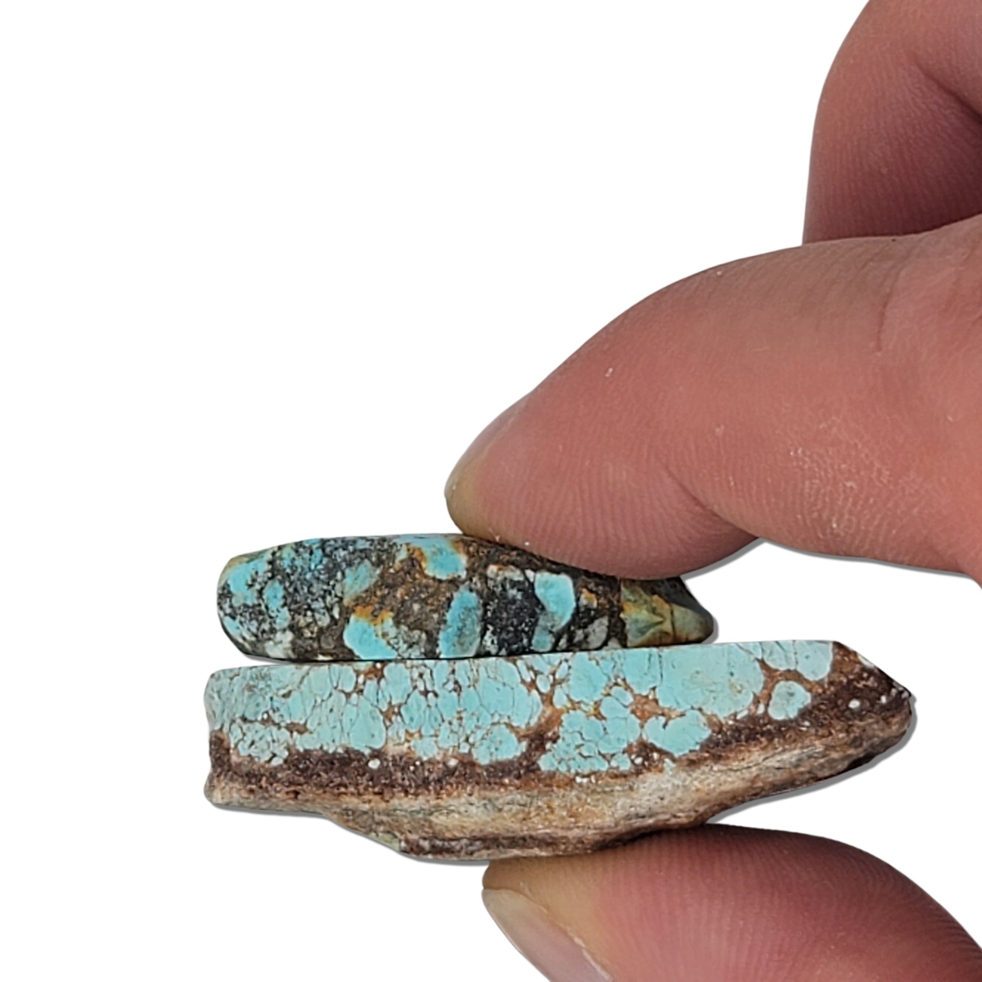 Pair of rough turquoise stones with vibrant blue, earthy brown, and black matrix patterns, displayed with a measuring scale – unique natural turquoise stones for jewelry making at NaturalTurquoise.com.