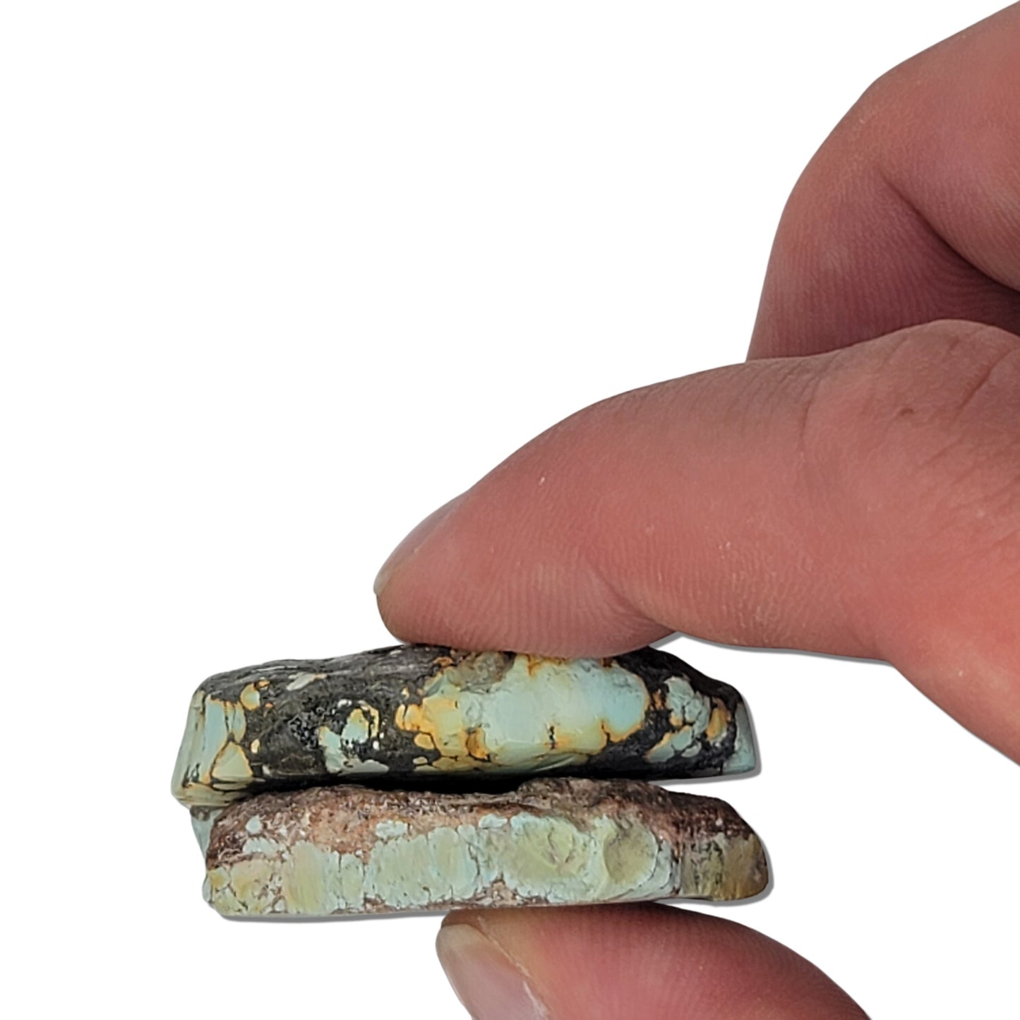 Pair of natural turquoise rough stones with intricate black, green, and brown matrix patterns, shown with measuring scale – high-quality turquoise pair for jewelry making at NaturalTurquoise.com.