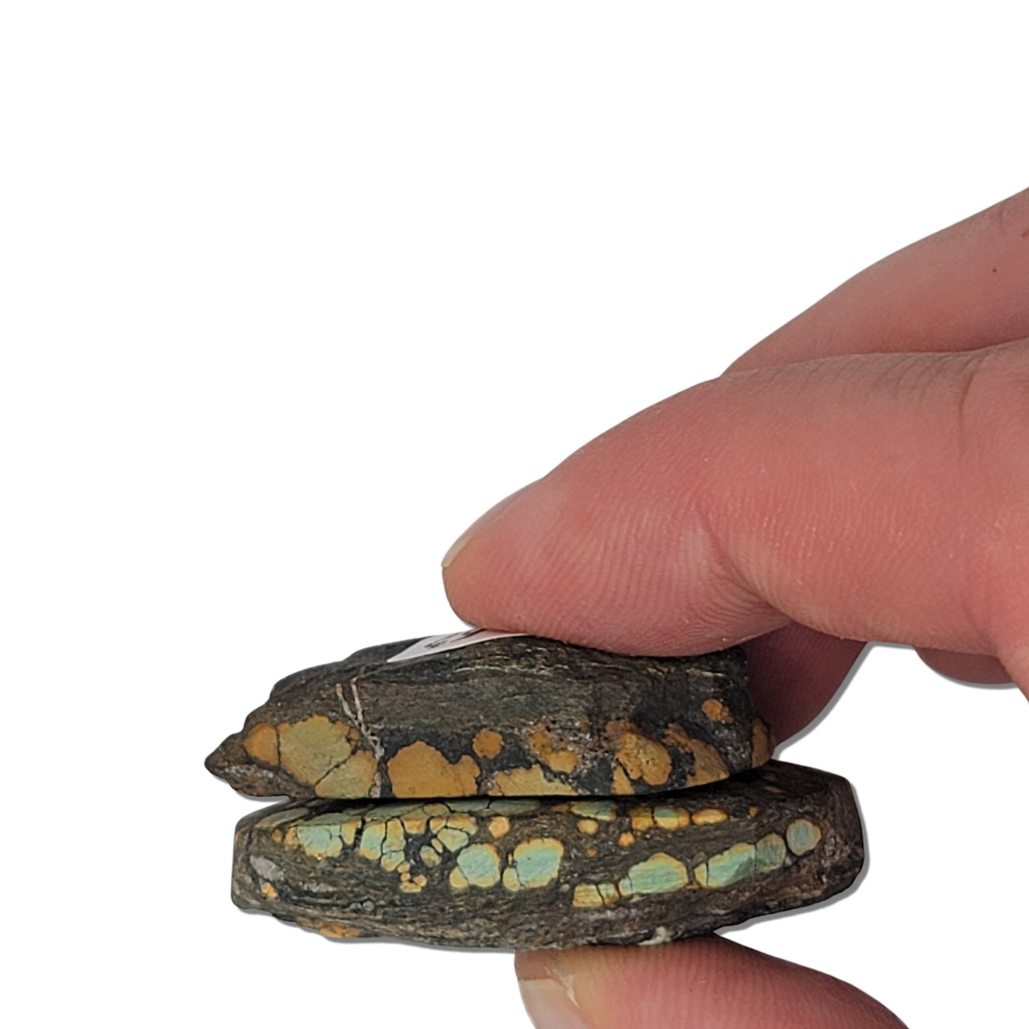 Two rough turquoise stones with vibrant blue and earthy orange matrix patterns, approx. 4 cm x 3.5 cm and 2.5 cm x 2 cm, www.naturalturquoise.com