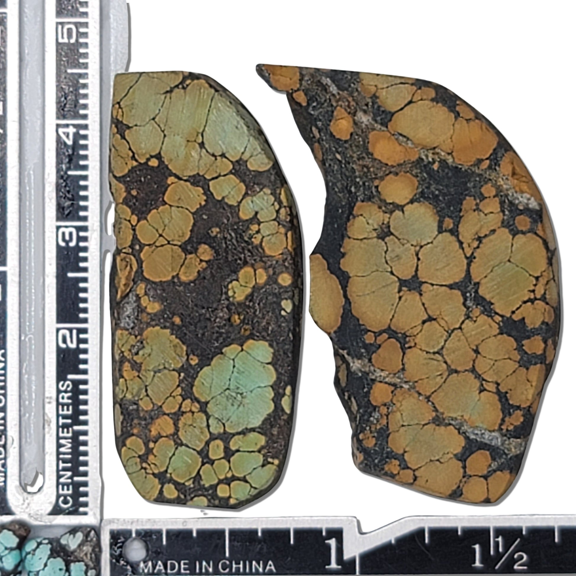 A pair of natural turquoise stones weighing 19 grams, featuring earthy golden tones with green highlights and bold dark matrix patterns. The stones measure approximately 4.5 cm x 2 cm and 4 cm x 2.3 cm, displayed with a ruler for scale. Available for purchase at www.naturalturquoise.com, ideal for lapidary and jewelry projects.