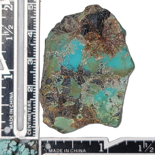 A natural turquoise stone weighing 36 grams, featuring vibrant blue and green hues with earthy tones and bold dark matrix patterns. The stone measures approximately 5 cm x 3.8 cm x 0.7 cm, displayed with a ruler for scale. Available for purchase at www.naturalturquoise.com, perfect for lapidary and jewelry projects.